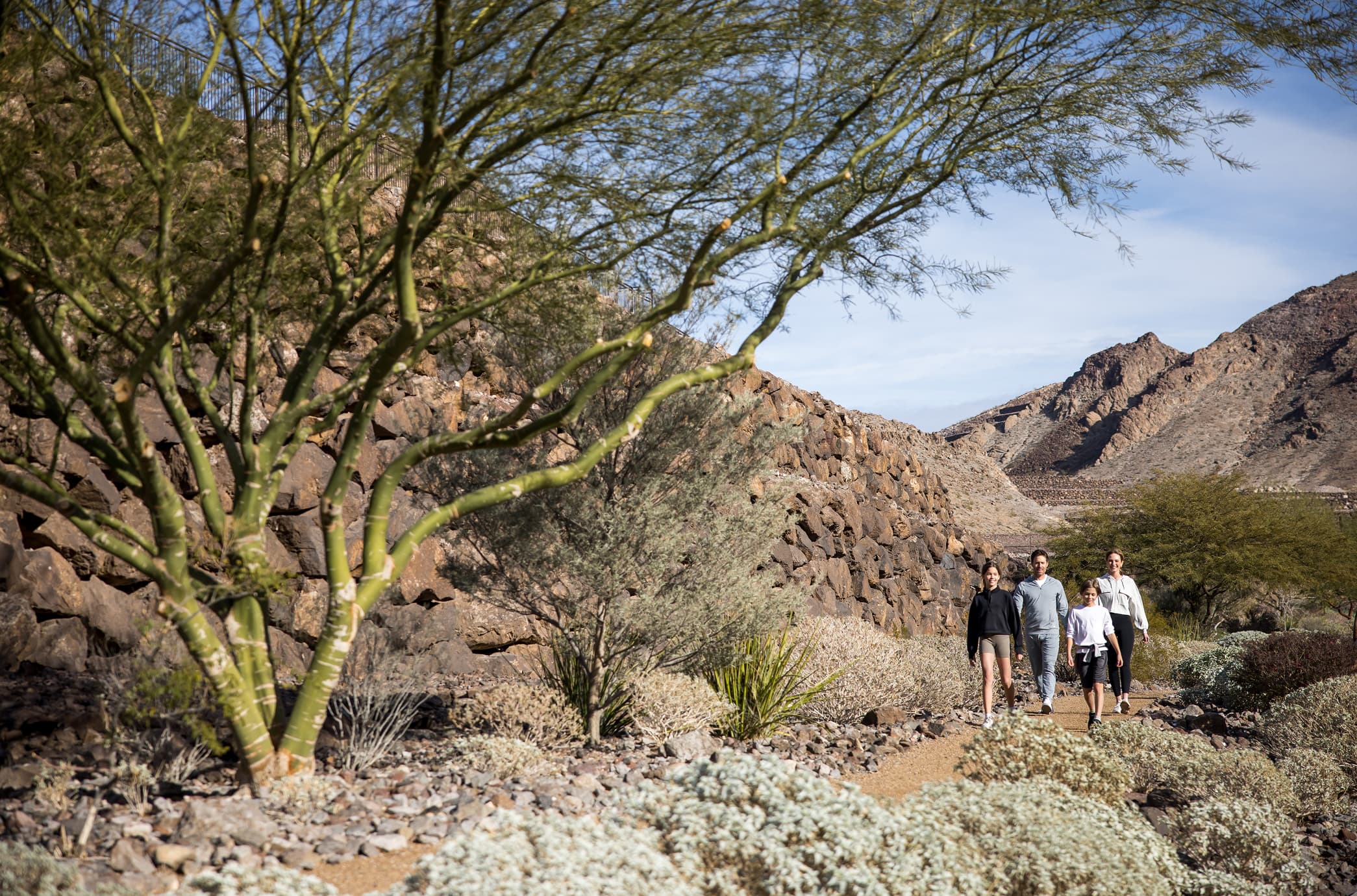 Family hiking on a desert trail with rocky mountains, native plants, and scenic outdoor landscape.