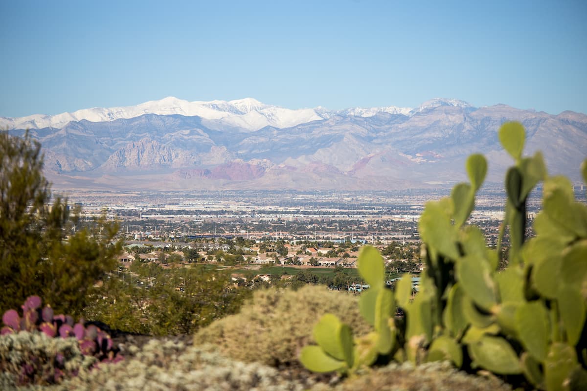 Desert landscape with mountains and cacti near Las Vegas.