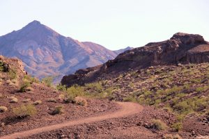 McCullough Hills Trail Park